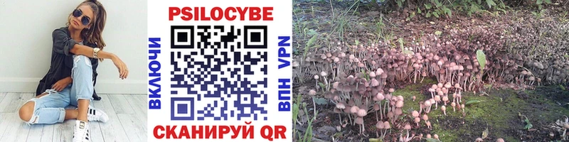 Галлюциногенные грибы Cubensis Купить закладки Невельск